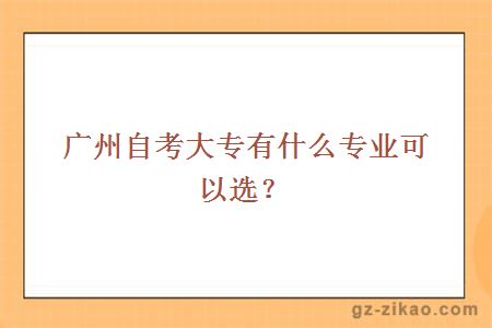 广州自考大专有什么专业可以选？