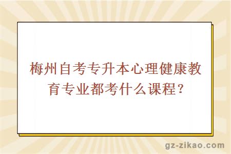 梅州自考专升本心理健康教育专业都考什么课程？