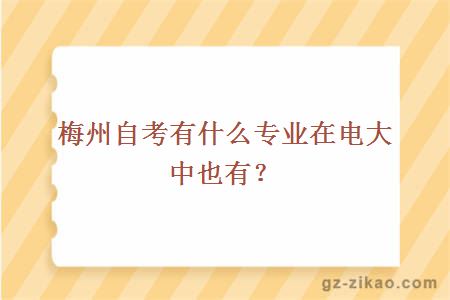 梅州自考有什么专业在电大中也有？