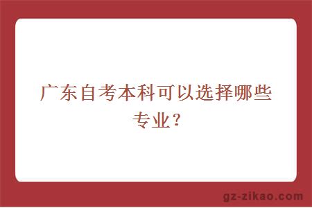 广东自考本科可以选择哪些专业？