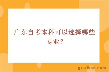 广东自考本科可以选择哪些专业？