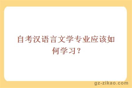 自考汉语言文学专业应该如何学习？