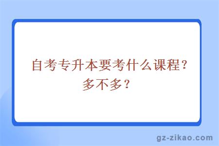 自考专升本要考什么课程？多不多？