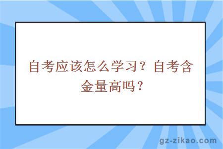 自考应该怎么学习？自考含金量高吗？