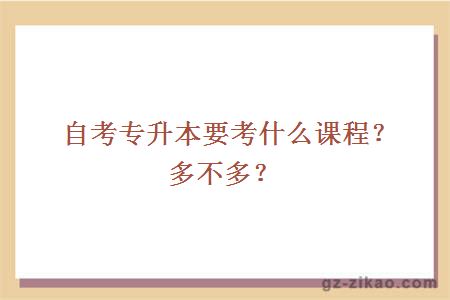 自考专升本要考什么课程？多不多？