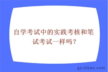 自学考试中的实践考核和笔试考试一样吗？