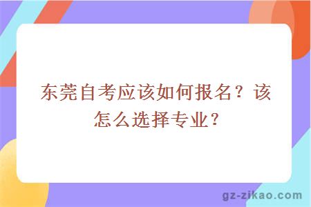 东莞自考应该如何报名？该怎么选择专业？