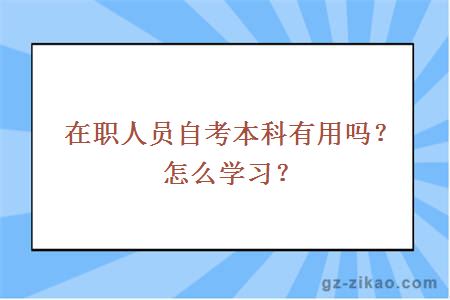 在职人员自考本科有用吗？怎么学习？