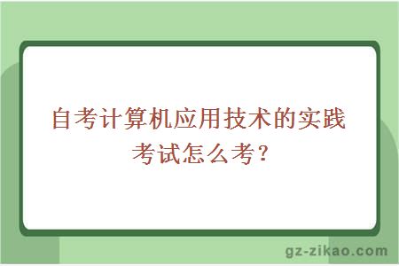 自考计算机应用技术的实践考试怎么考？