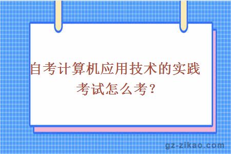 自考计算机应用技术的实践考试怎么考？