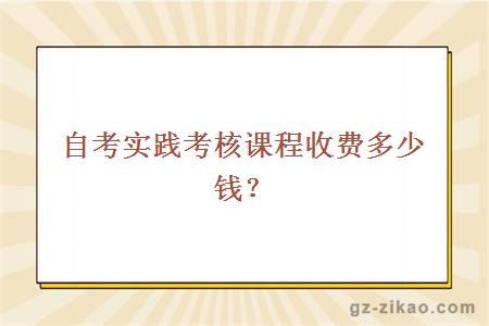 自考实践考核课程收费多少钱？