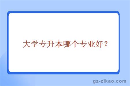 大学专升本哪个专业好？