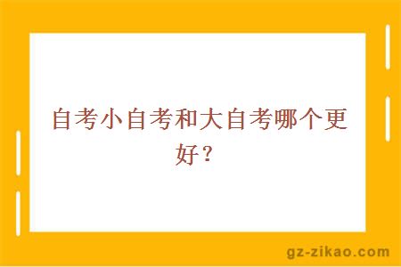 自考小自考和大自考哪个更好？