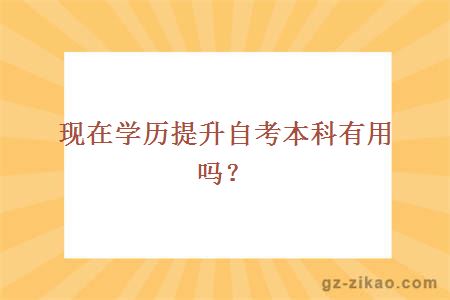 现在学历提升自考本科有用吗？