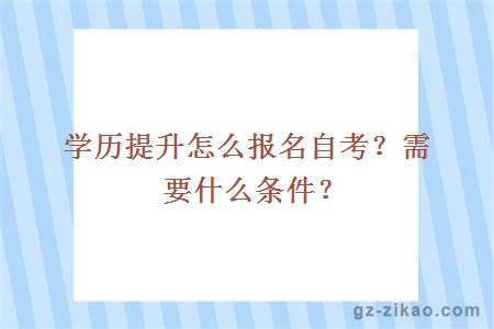 学历提升怎么报名自考？需要什么条件？