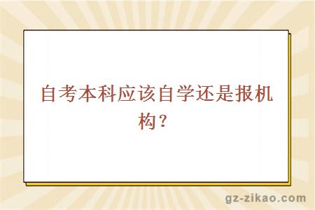 自考本科应该自学还是报机构？