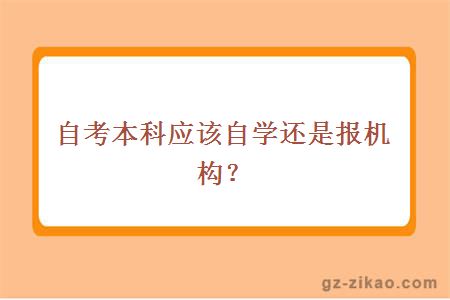 自考本科应该自学还是报机构？