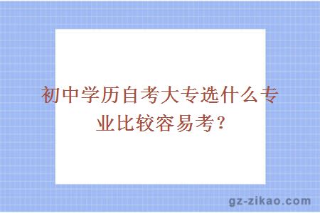 初中学历自考大专选什么专业比较容易考？