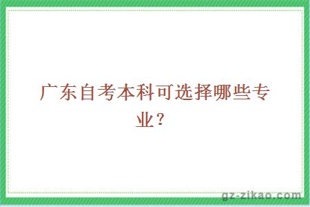 广东自考本科可以选择那些专业？