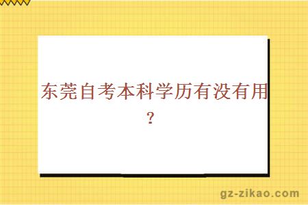 东莞自考本科学历有没有用？