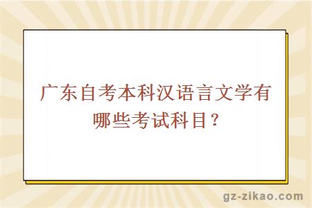 广东自考本科汉语言文学有哪些考试科目？