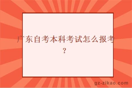 广东自考本科考试怎么报考？