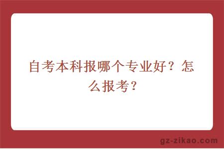 自考本科报哪个专业好？怎么报考？