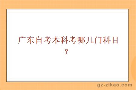 广东自考本科考哪几门科目？
