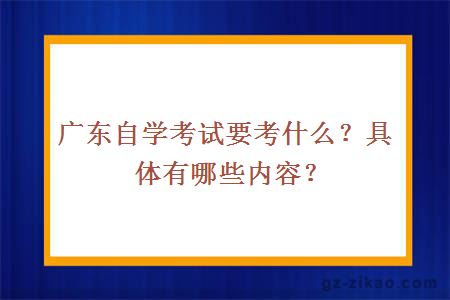 广东自学考试要考什么？具体有哪些内容？