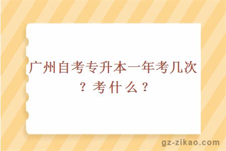 广州自考专升本一年考几次？考什么？