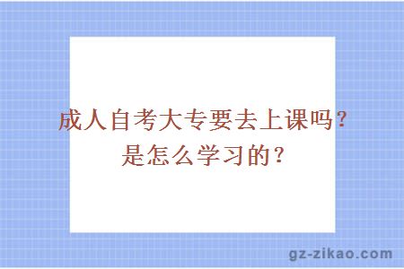 成人自考大专要去上课吗？是怎么学习的？