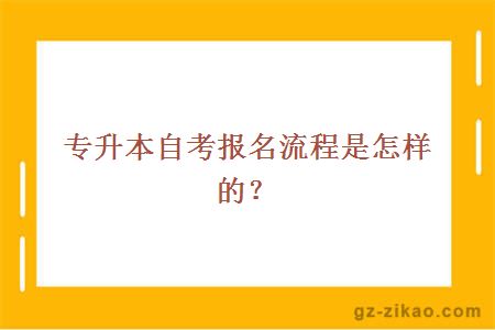 专升本自考报名流程是怎样的？