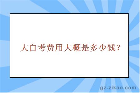 大自考费用大概是多少？