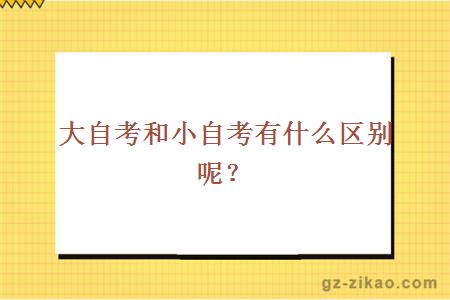 大自考和小自考有什么区别？