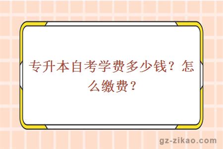 专升本自考学费多少钱？怎么缴费？