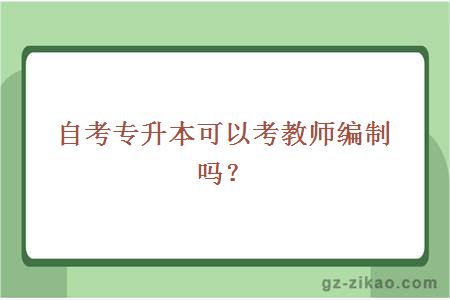 自考专升本可以考教师编制吗？