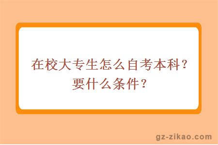 在校大专生怎么自考本科？要什么条件？