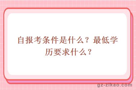 自报考条件是什么？最低学历要求什么？