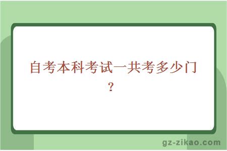 自考本科考试一共考多少门？