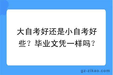 大自考好还是小自考好些？毕业文凭一样吗？