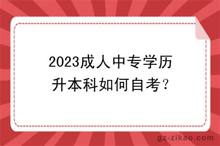 2023成人中专学历升本科如何自考？