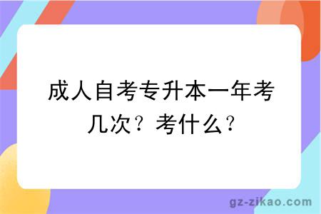 成人自考专升本一年考几次？考什么？