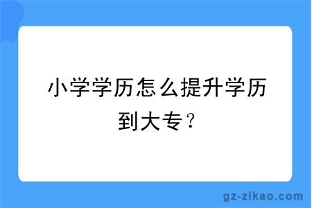 小学学历怎么提升学历到大专？