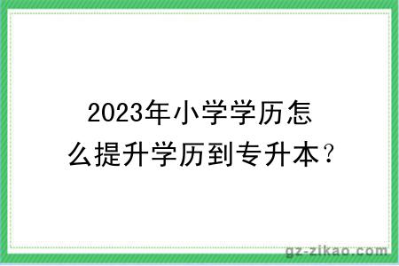 2023年小学学历怎么提升学历到专升本？