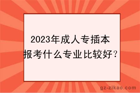 2023年成人专插本报考什么专业比较好？