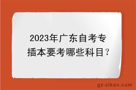 2023年广东自考专插本要考哪些科目？