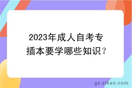 2023年成人自考专插本要学哪些知识？