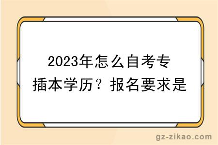 2023年怎么自考专插本学历？报名要求是什么？