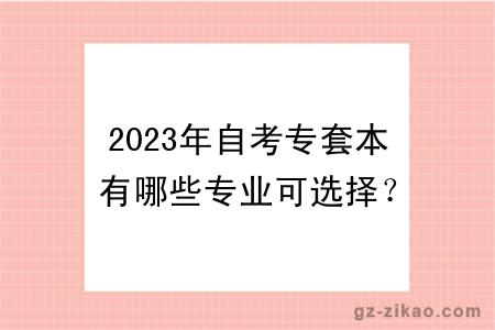 2023年自考专套本有哪些专业可选择？