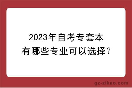 2023年自考专套本有哪些专业可以选择？